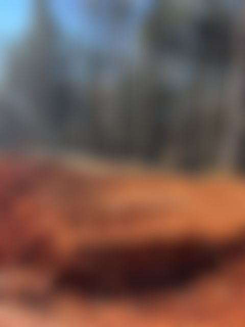 Mountaintop community in Tennessee - Image 1