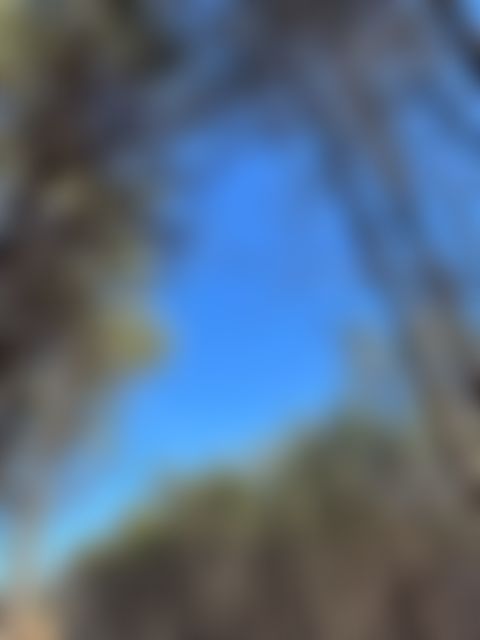 Mountaintop community in Tennessee - Image 5