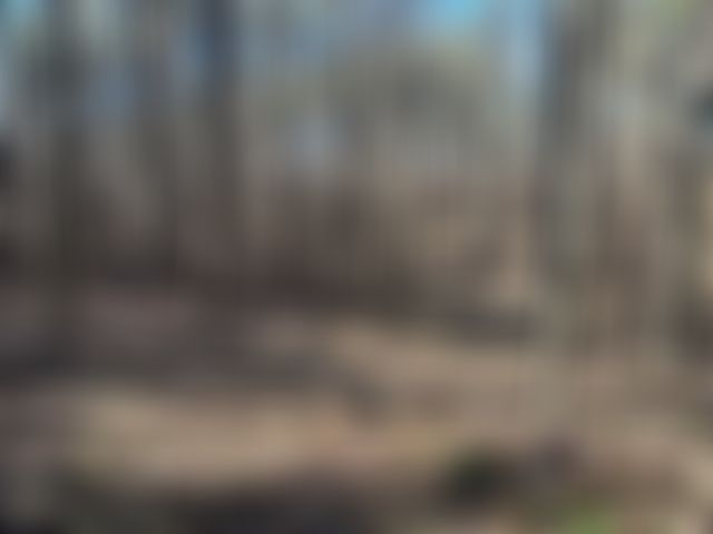 Mountaintop community in Tennessee - Image 7