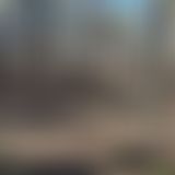 Mountaintop community in Tennessee - Image 7