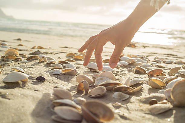 Favorite things to do at the beach - Image 11