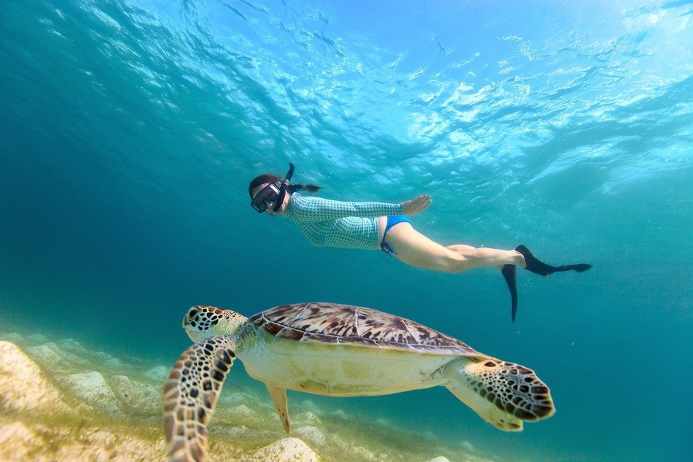 Favorite things to do at the beach - Image 9