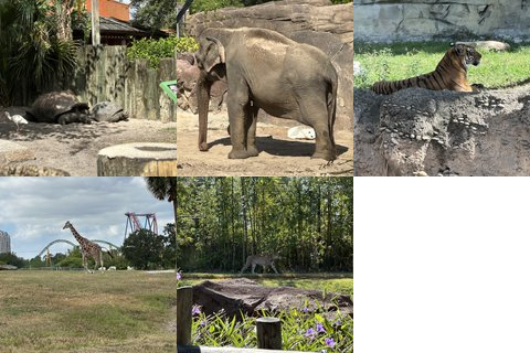 Favorite zoo animals - Full view