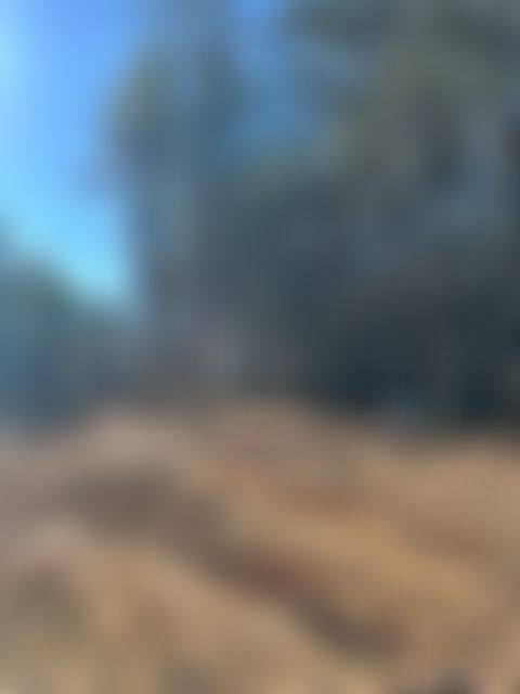 Mountaintop community in Tennessee - Image 3