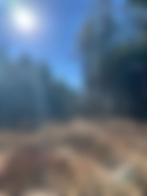 Mountaintop community in Tennessee - Image 4